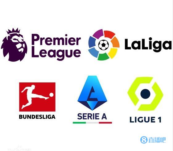 他未来的新 他未来的新