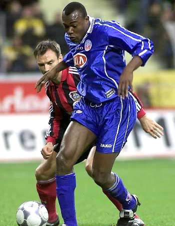 杨尼斯的 杨尼斯的